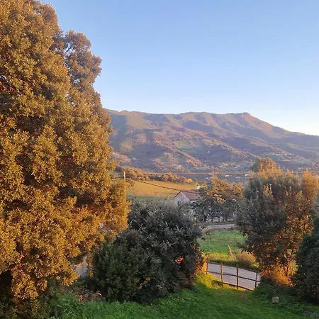 Διαμέρισμα A Livia Ajaccio